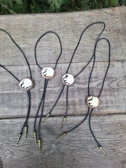 Dzik odyniec Bolo krawatnik poroze jelenia losia