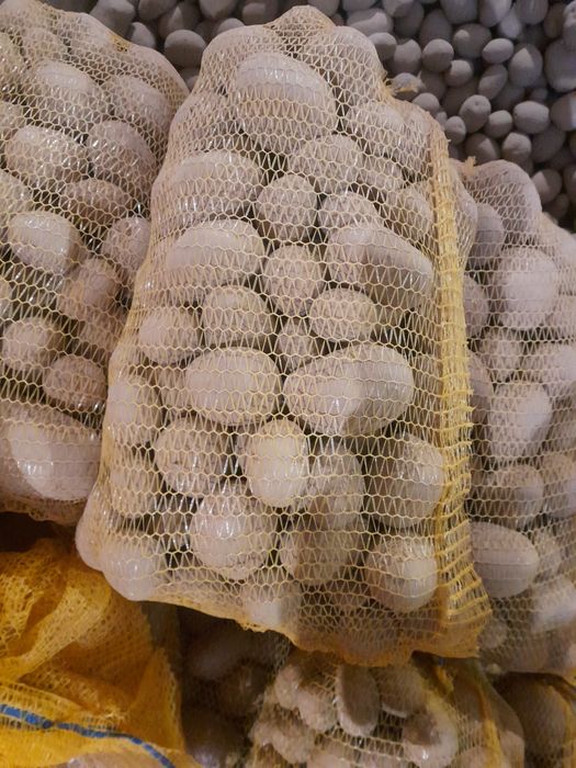 Ziemniaki Red Sonia, Soraya, Gala, Vineta, Corinna, Belmonda, Red Lad