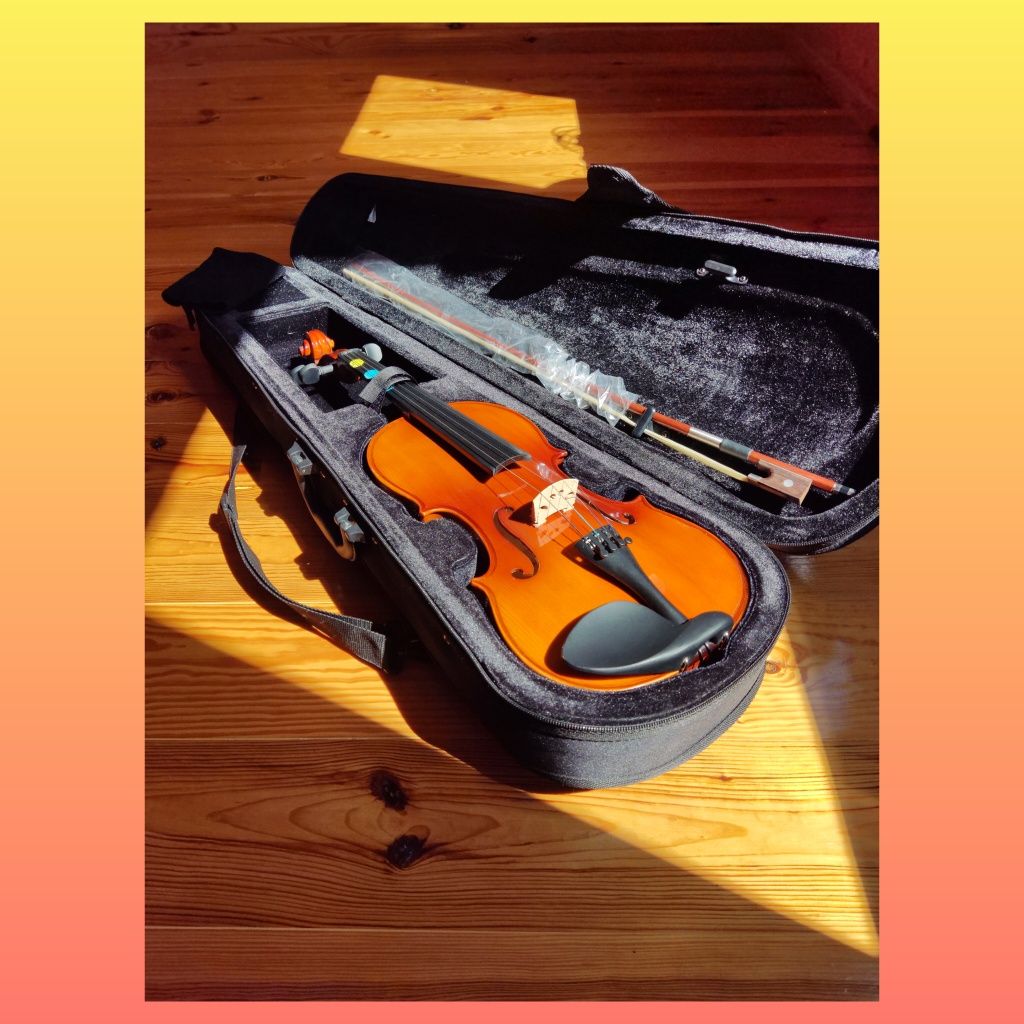 Скрипка 4/4 Stagg! Музичний інструмент ідеальний