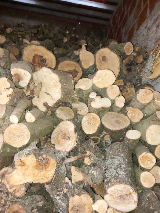 Lenha seca em armazém