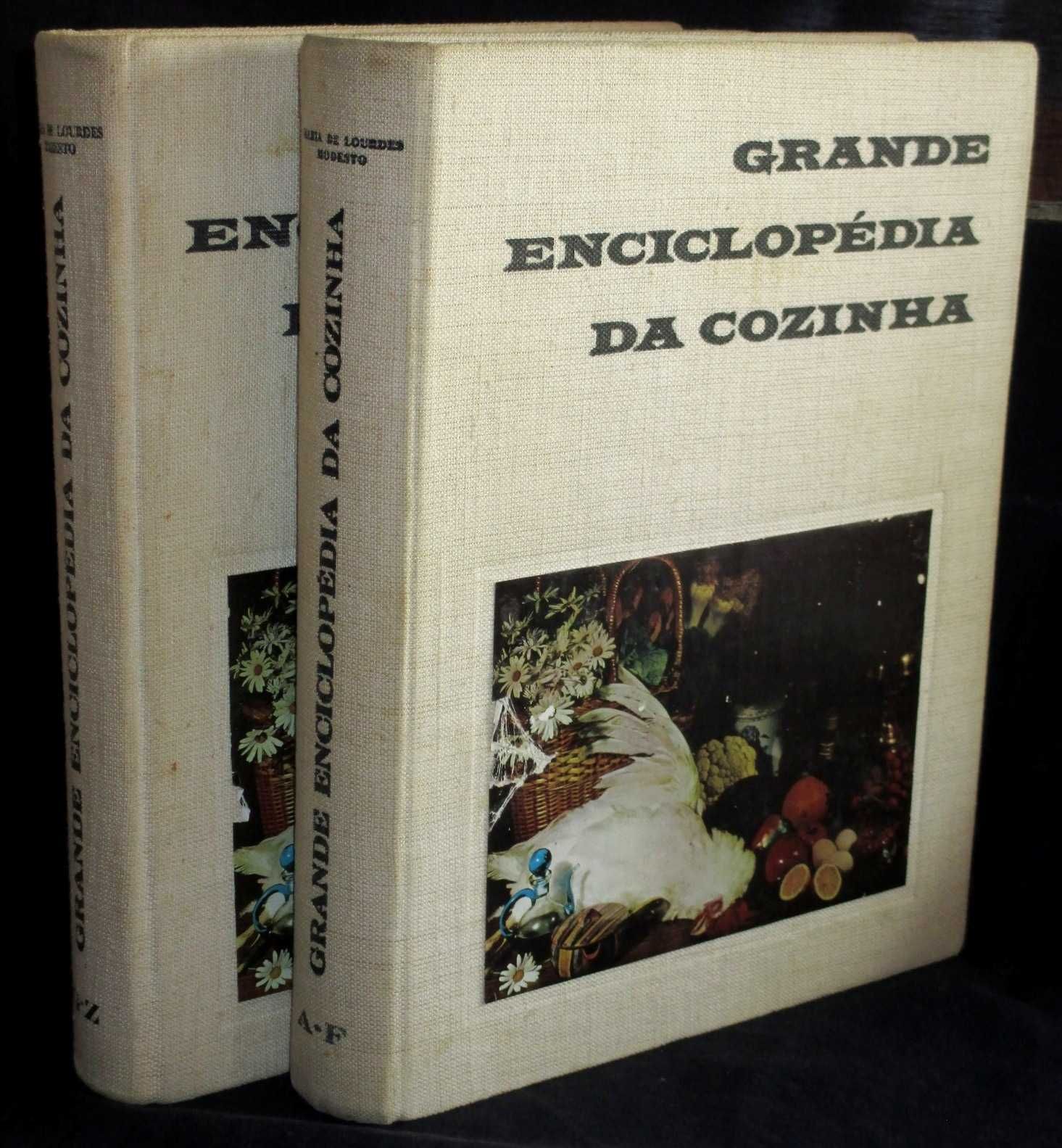 Livros Grande Enciclopédia da Cozinha Maria de Lourdes Modesto