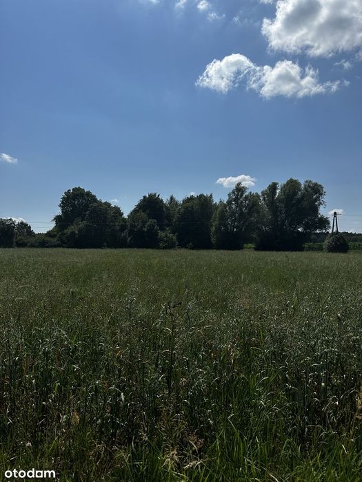 Urokliwa działka budowlana 6269 m² | Cisza, spokój i natura!