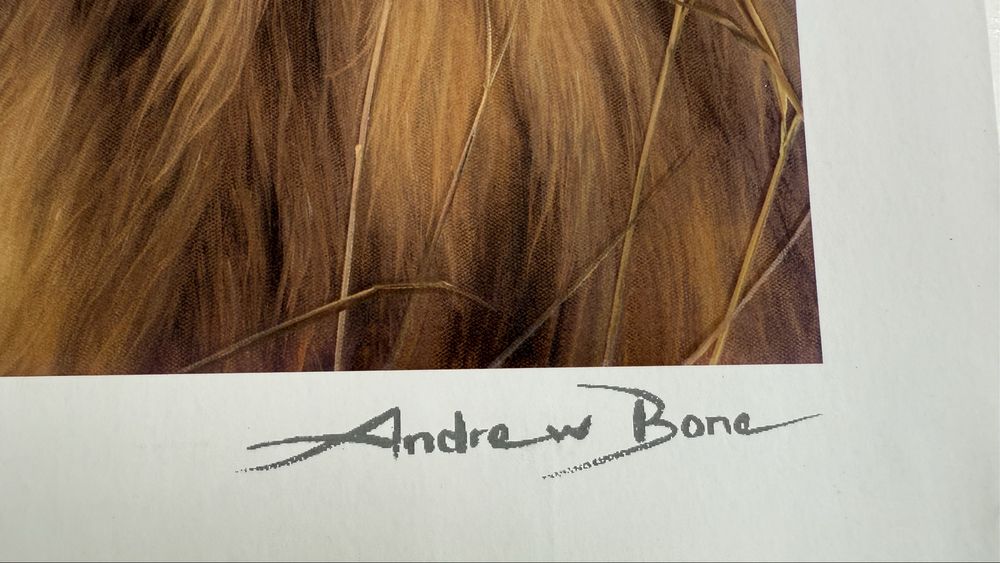 Andrew Bone Young Warrior Lion Seriolithograph with CoA