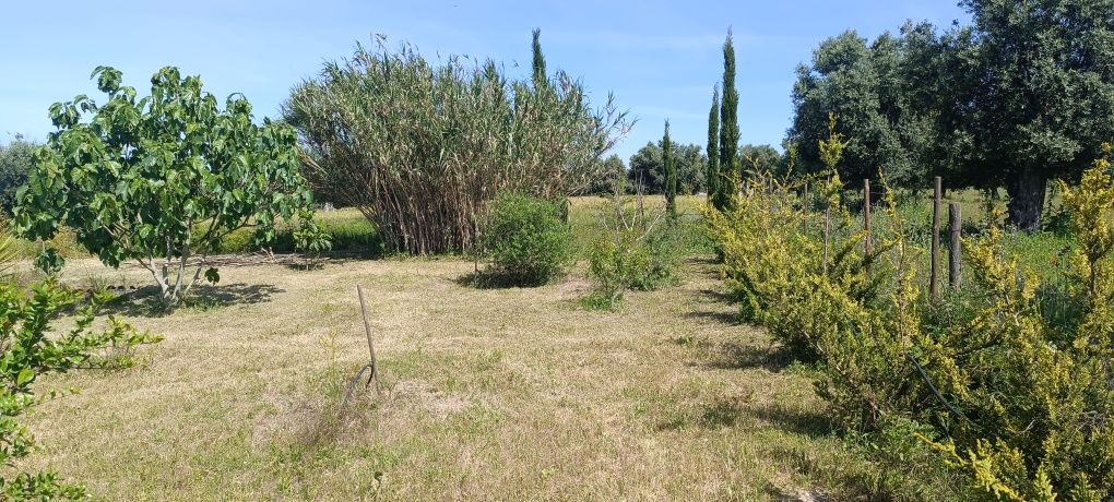 Terreno excelente para um Retiro