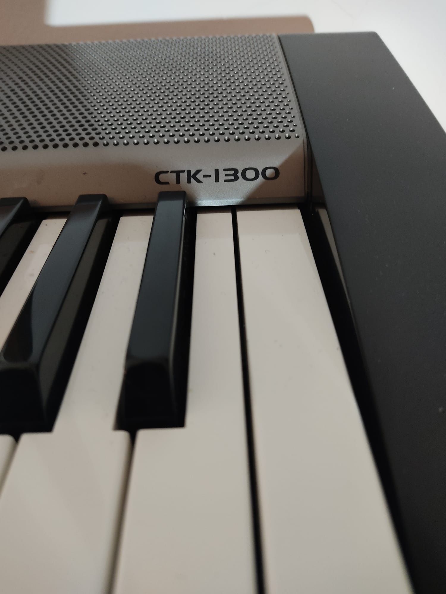 Órgão Casio CTK-1300