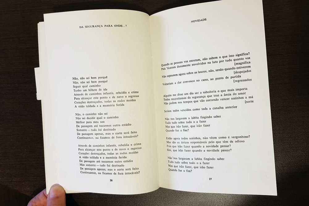 Ian Curtis / Joy Division: Prazeres Ignorados (Assírio & Alvim, 1989)