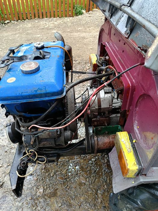 Продається Прикарпатець.