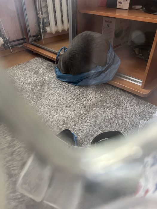 маска для плавання Dolvor M-278 S-JR, grey