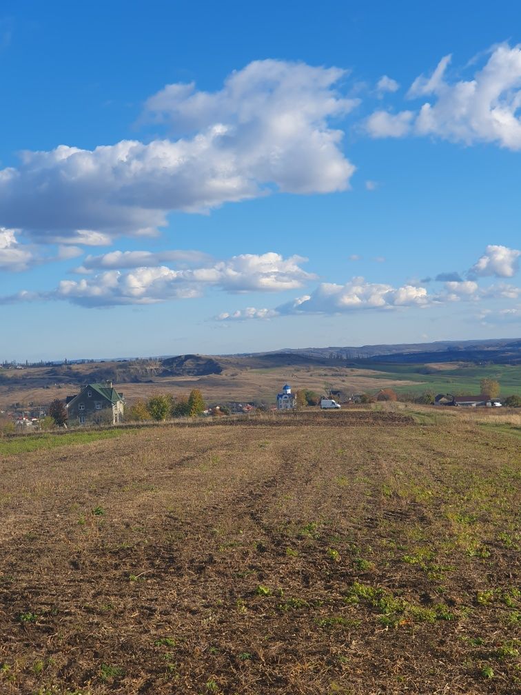 Продається земельна ділянка в с.Заволока