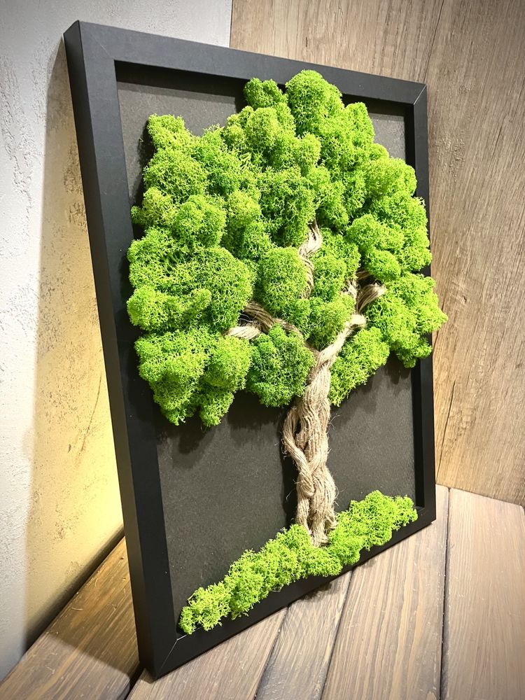 Mieciutki puszysty mech Chrobotek w formie drzewa na obrazie 32 c 42cm