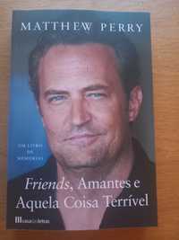 Friends, amantes e aquela coisa terrível - Matthew Perry