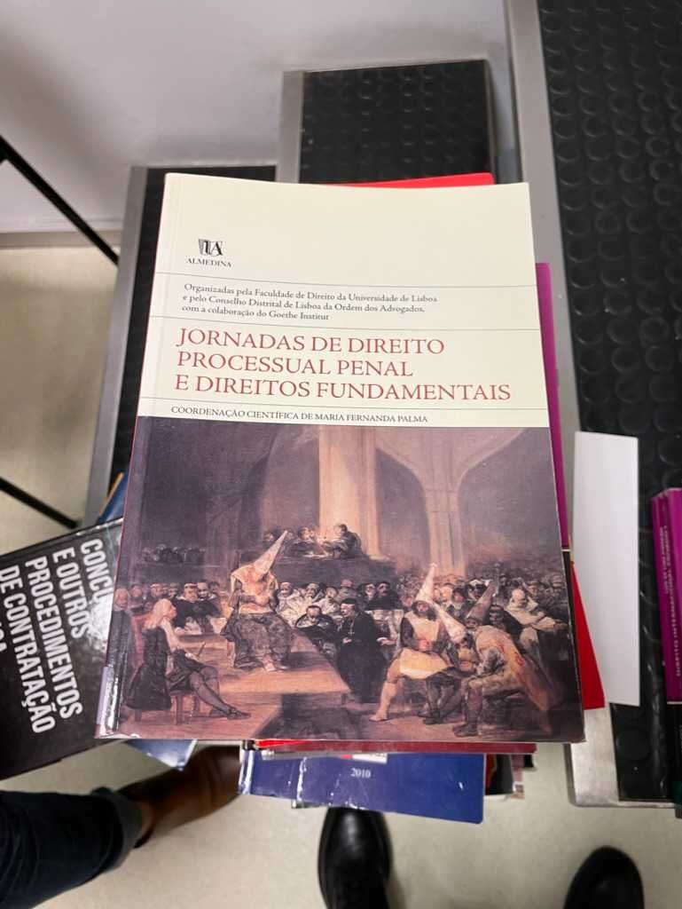 livro jornadas de direito processual penal e direitos fundamentais