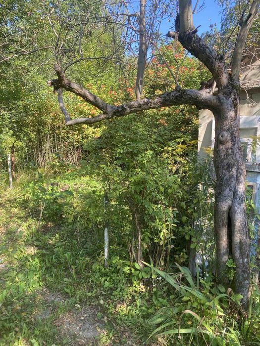 Продаж дачний будинок і прилегла земля