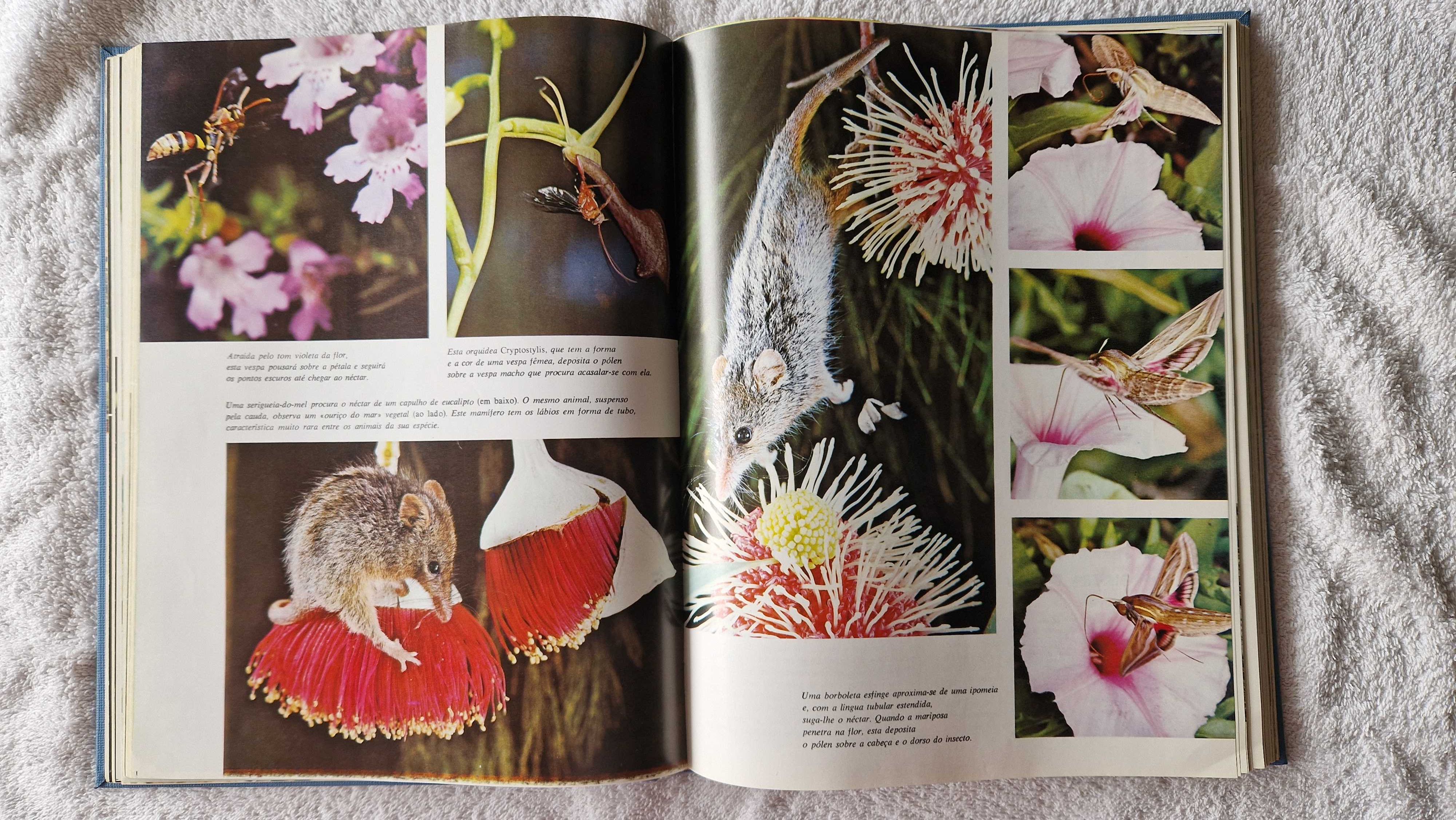 Livro "O Assombro Mundo da Natureza"