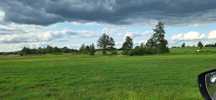 Działka Antonina 8000m2   20zł/m2