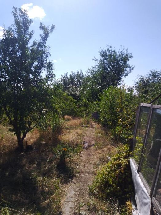 Продам Дачу в городе