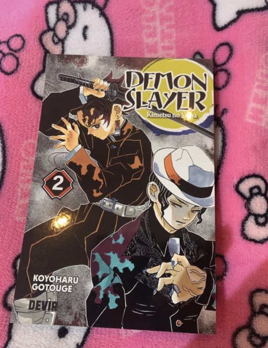 Livros Demon Slayer Vol 1 e 2
