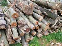 Drewno opałowe - BUK wałki