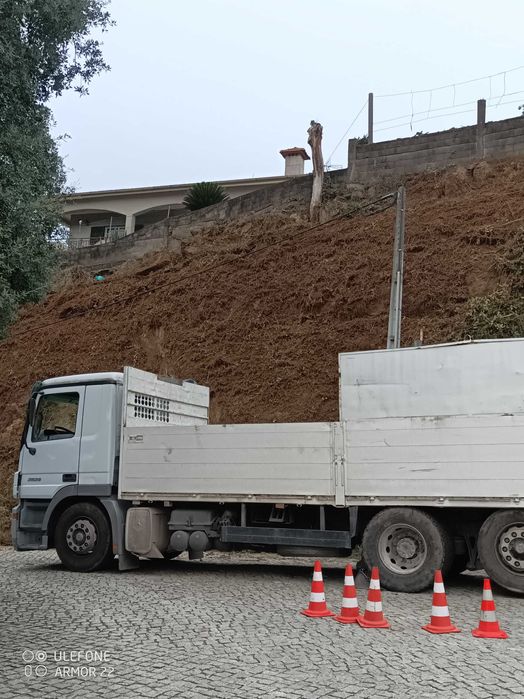Camião Grua Mercedes Actros 2536