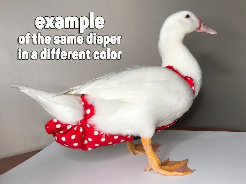 памперс для гуся, підгузок для качки
