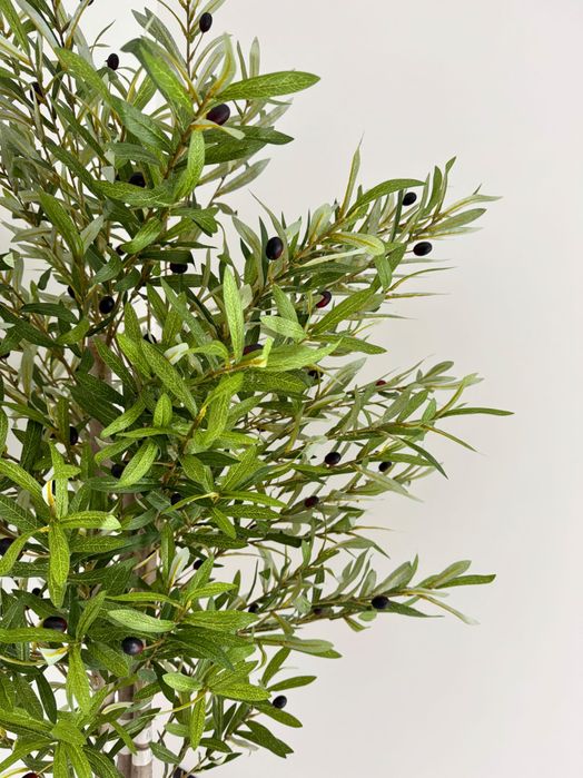 Oliveira artificial
