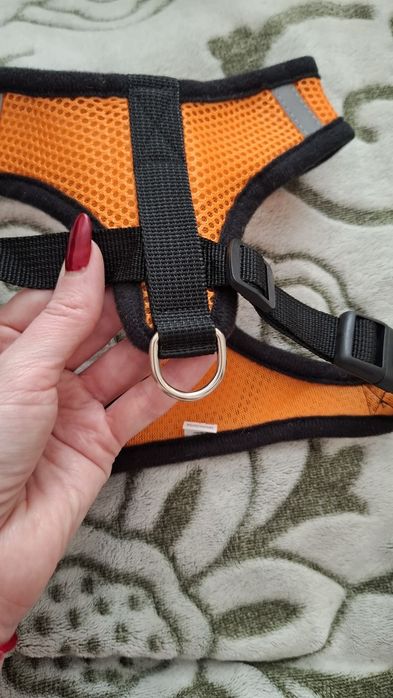 Шлея, жилет, поводок для собак