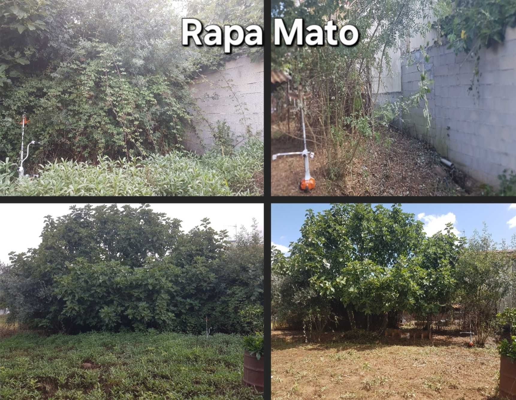 Limpamos terreno e matas à partir de 0,78€/m² - Coimbra e arredores