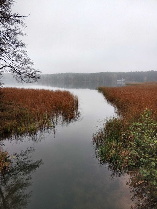 Kwatery - Noclegi - Pokoje - Nowe Miasto Lubawskie