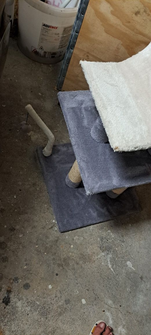 Arranhador gatos