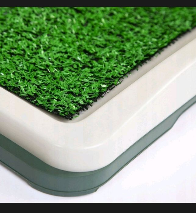 Kuweta do nauki sikania dla szczeniąt