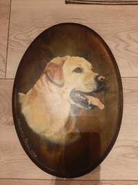 Portret psa ręcznie malowany na drewnie