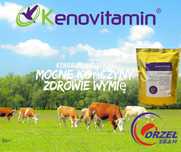 Kenobiotin/Difficus obniża ilość komórek somatycznych.Zdrowe wymiona