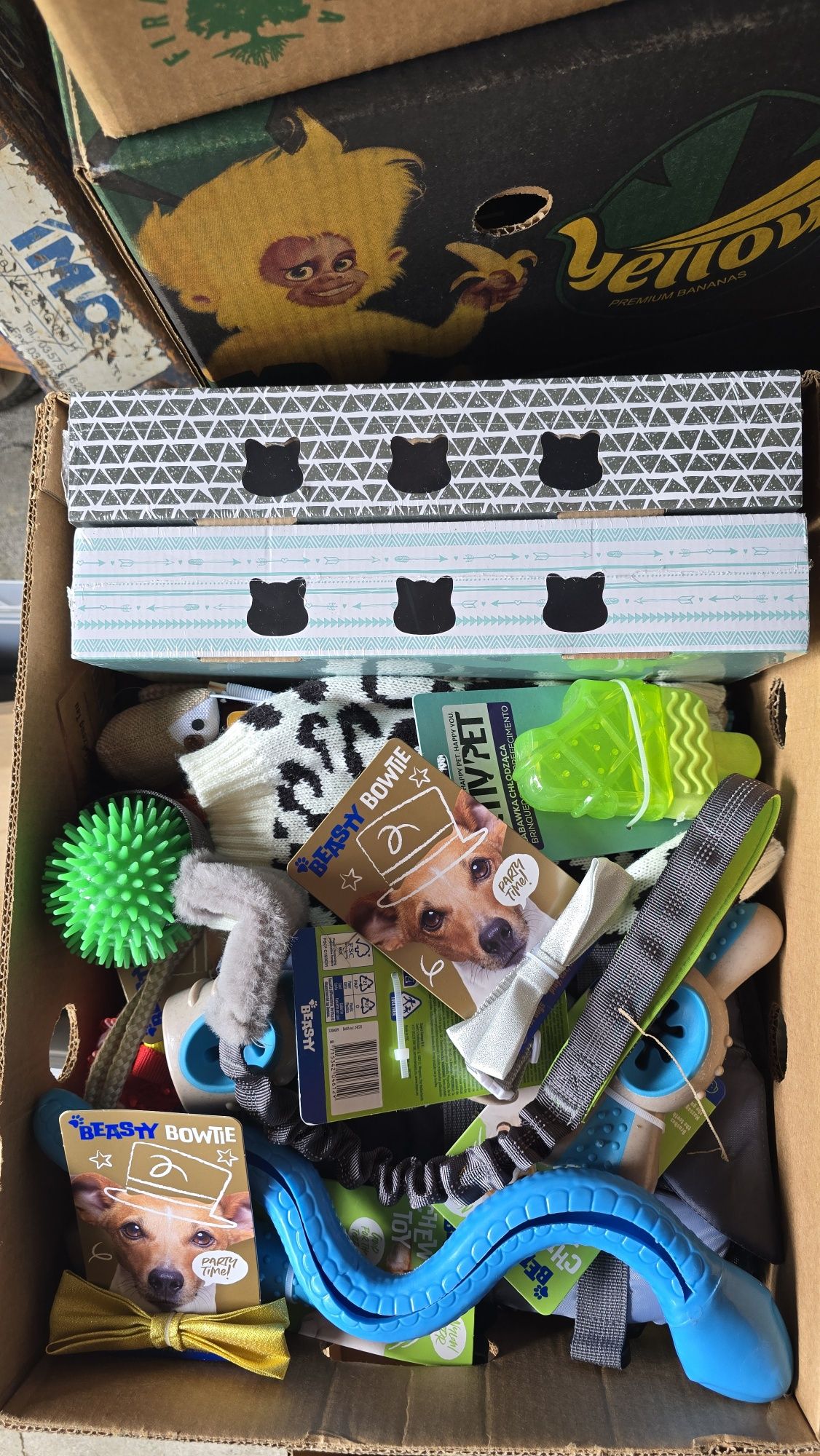 Box zwierzak nowe artykuły dla zwierząt 33 szt.