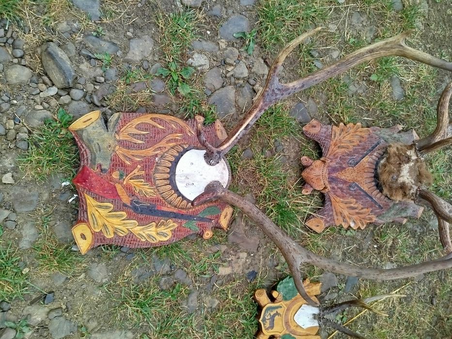 Продам рога на підставках