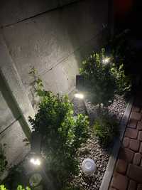 Садові світильники аккумулятлрні