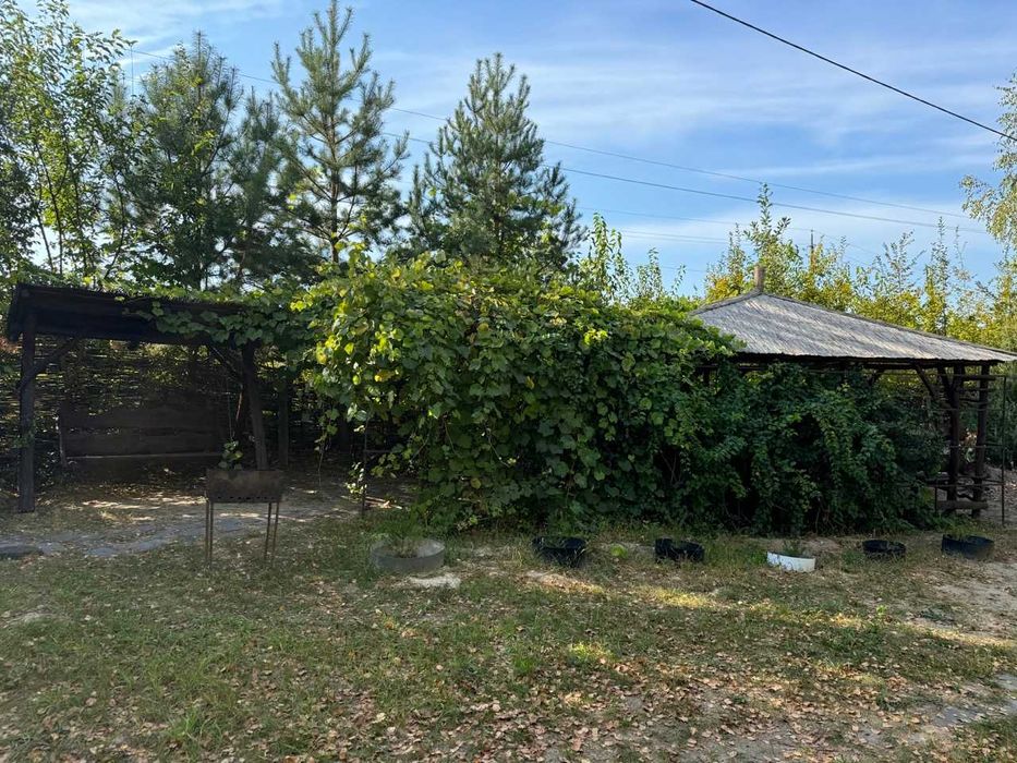 Аренда беседок Три Гусака / Оренда Альтанок