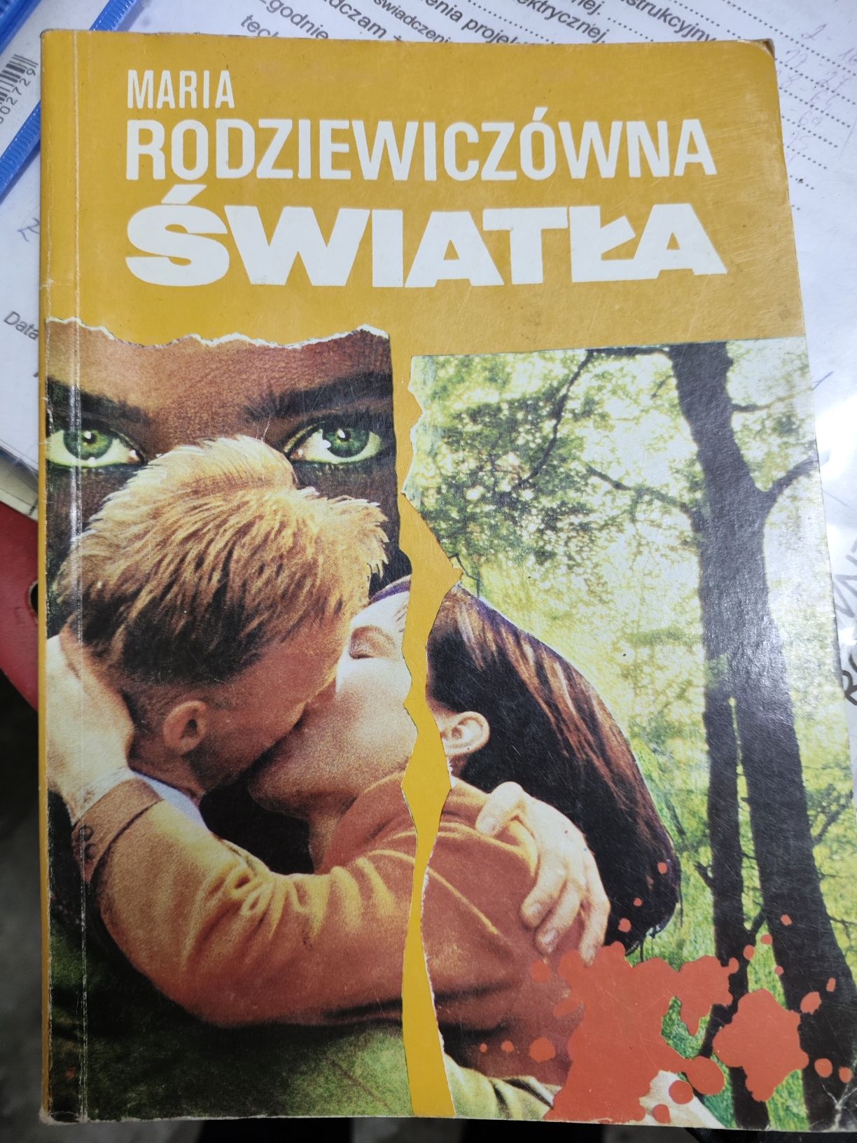 Maria Rodziewiczówna - Światła