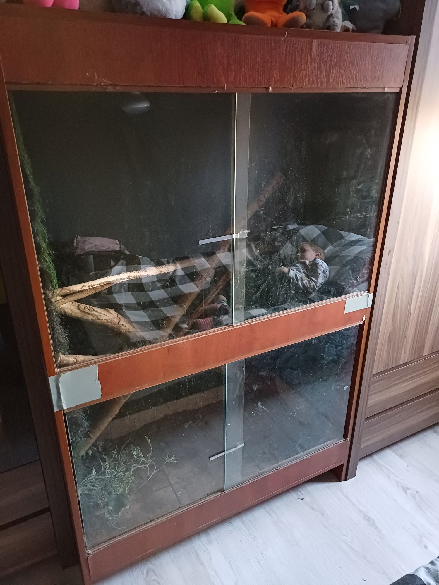 Terrarium Sprzedam