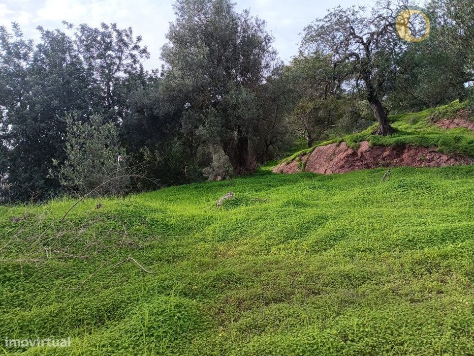 Terreno com Viabilidade de Construção no centro de Santa Catarina