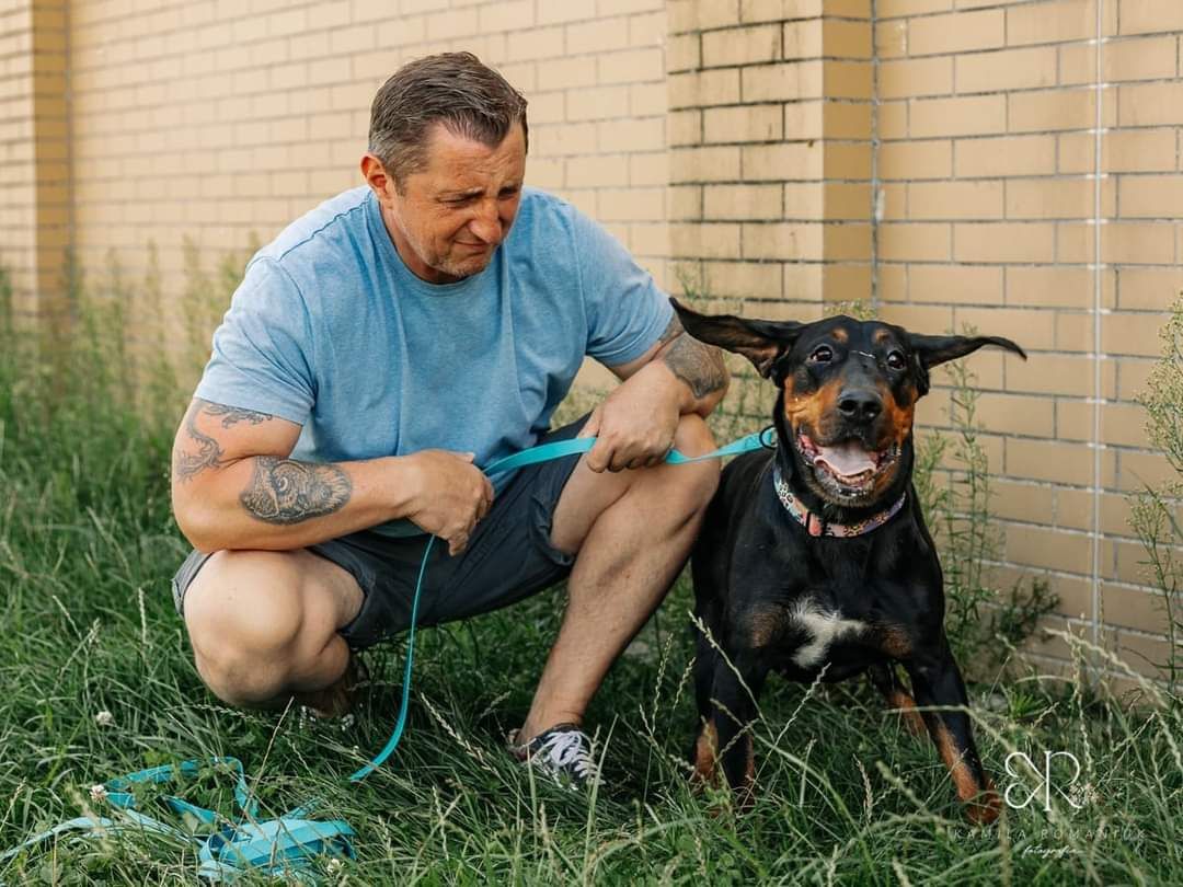 Piorun Gończy polski do adopcji!
