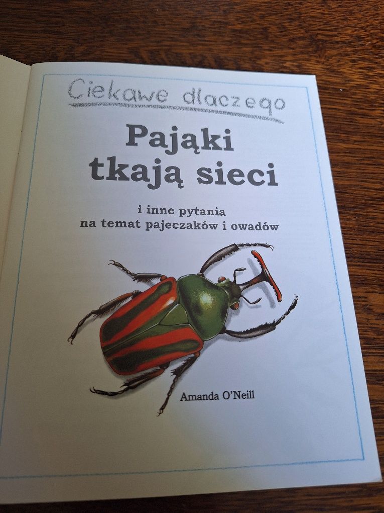 Ciekawe dlaczego Pająki tkają sieci i inne pytania na temat pajęczaków