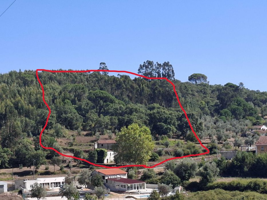 Quinta urbana (520m2) e rustica (26970m2) em Ceras / Tomar