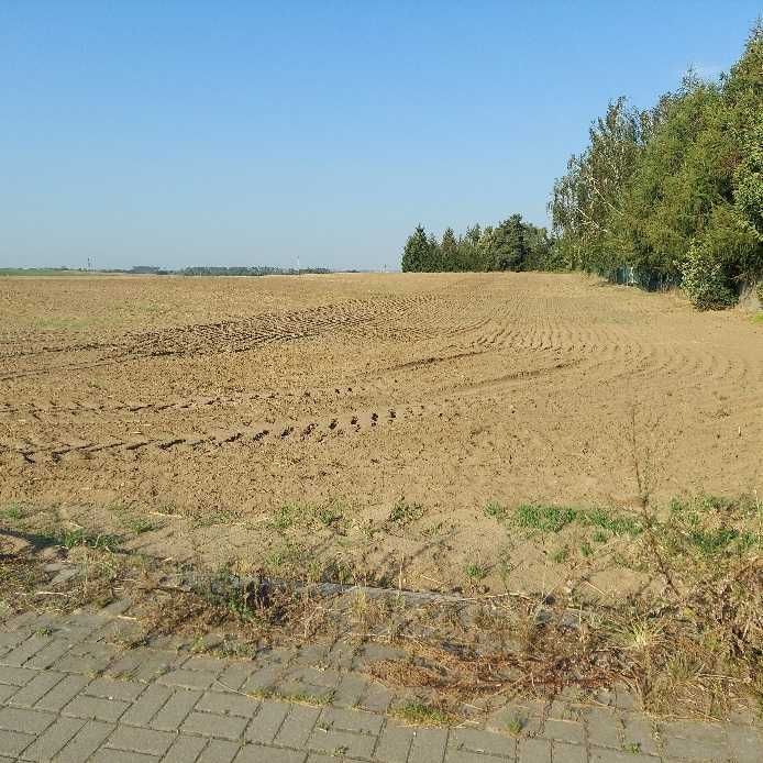 Działki budowlane Żalno