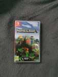 Minecraft Nintendo Switch