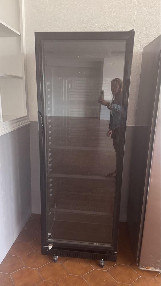 Arcas horizontais bebidas/ vitrine/ maquina gelo