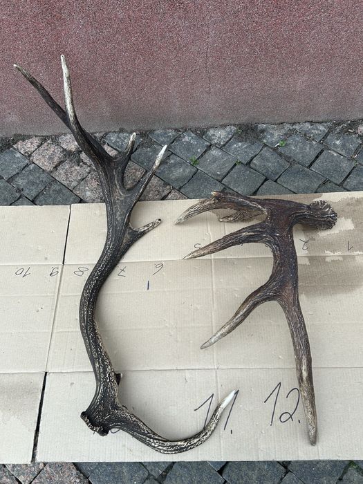 Виріб з ріг оленя