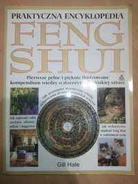 Książka Feng Shui praktyczna encyklopedia Gill Hale Amber 1999