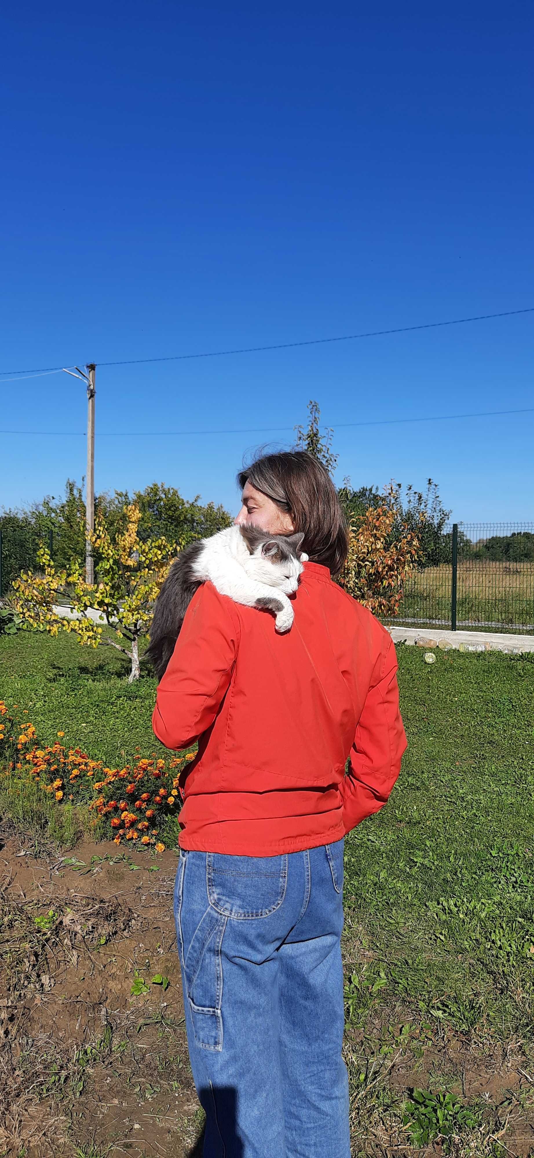 Зооняня. Вигул собак. Догляд. Дитячий садок