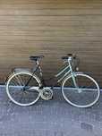 Rower damka / dwururka Hercules