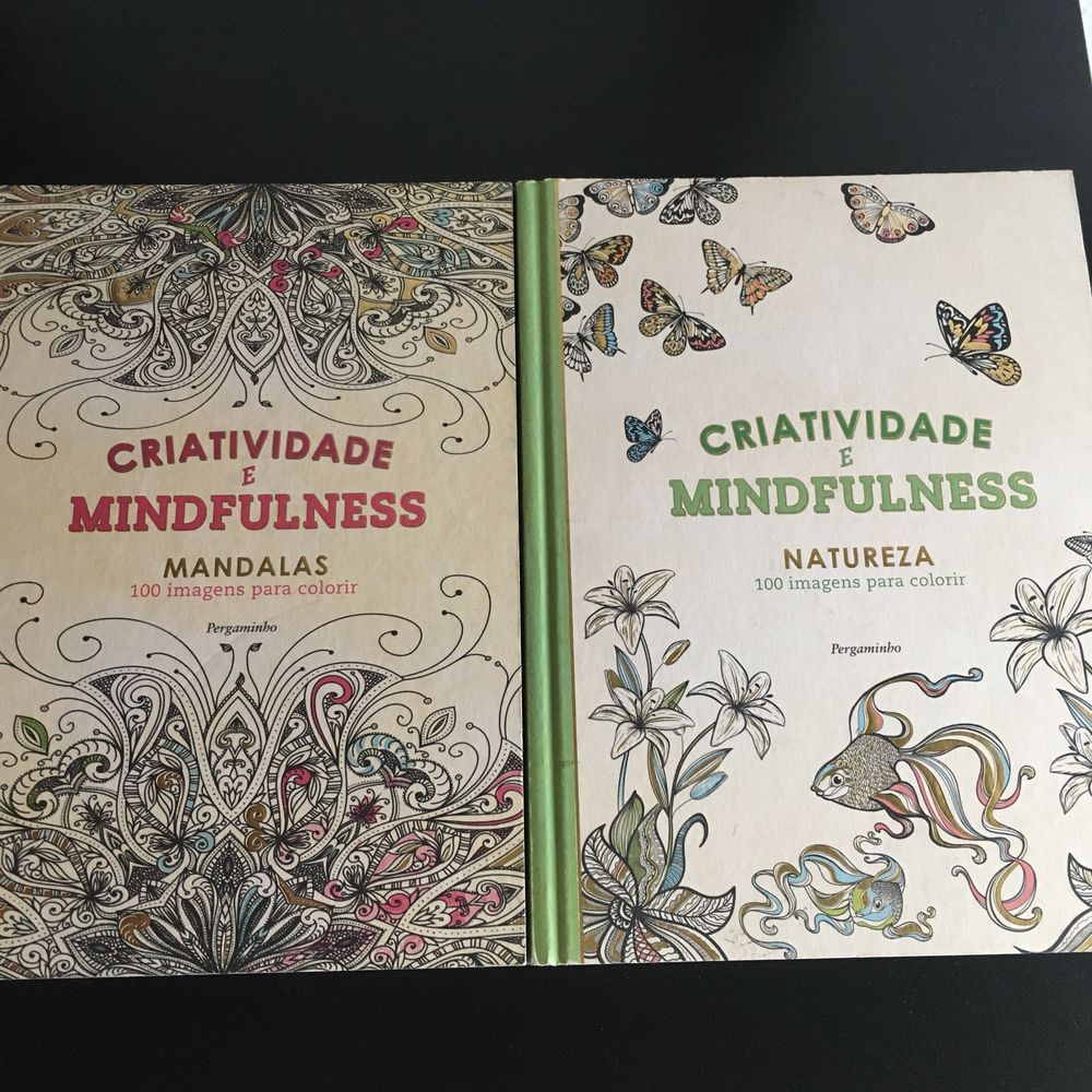 Conjunto 2 livros Criatividade é Mindfulness